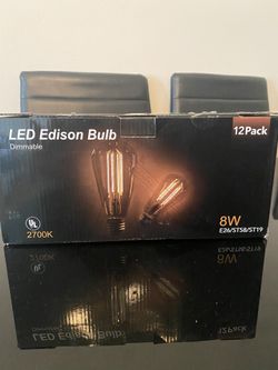 LED Edison Bulb 12 Pack