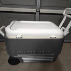 Igloo Cooler 