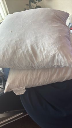 Down Goose Pillow Inserts 