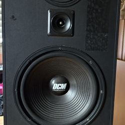 Speaker 