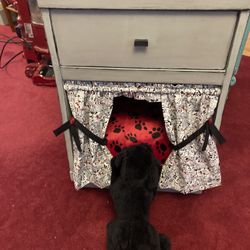 Puppy End Table Bed