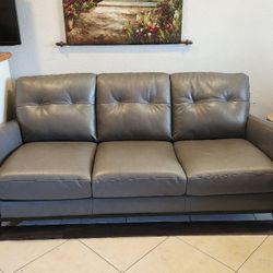 Gray Couch 