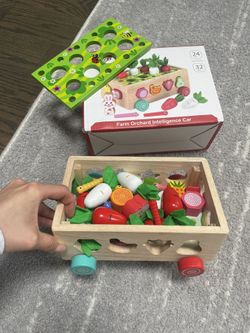 wooden sorting game