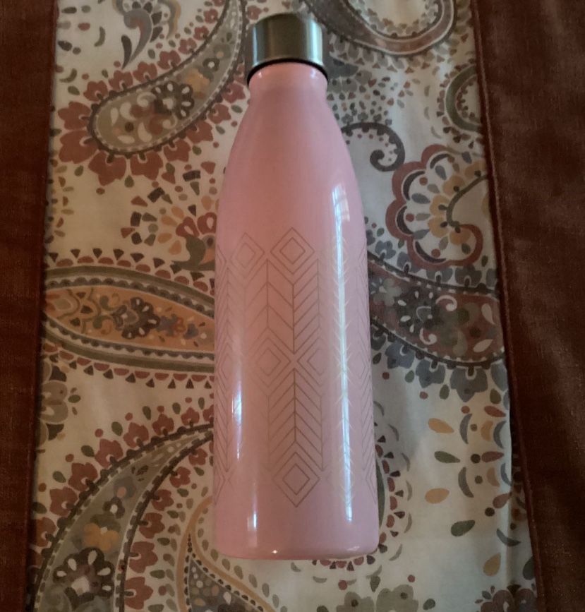 Room Essentials 17.5oz Double Wall Stainless Steel Bottle