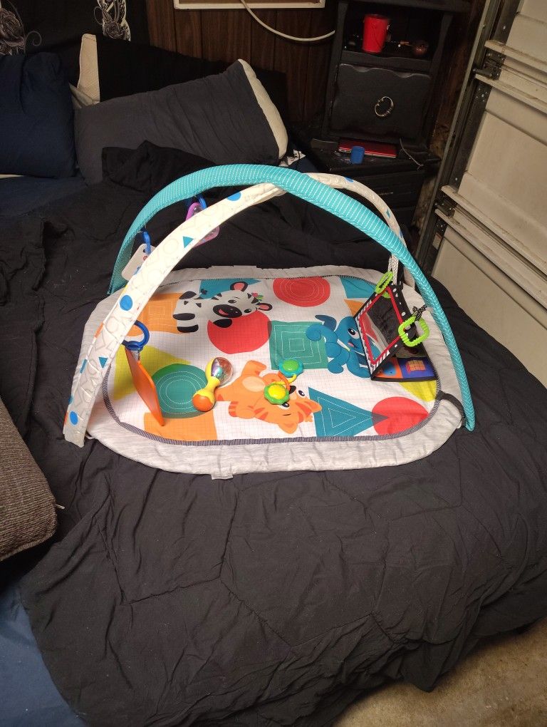 Baby Einstein Activity Mat