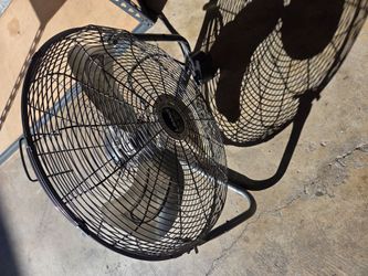 fan