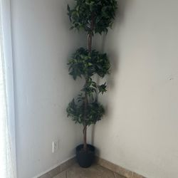 Fake Plant 