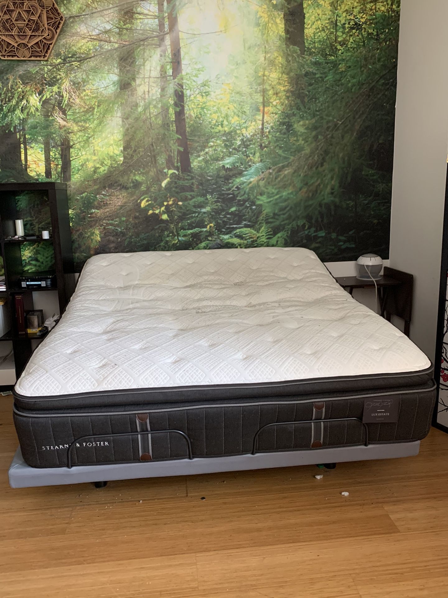 Revive electric bed