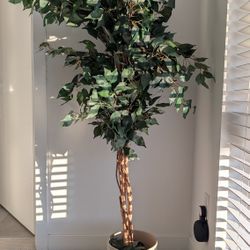 Artificial Plant With Pot - Great Decor!