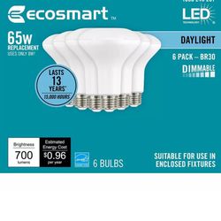 EcoSmart Dimmable LED Light Bulb Daylight 65-Watt Equivalent BR30 (6-Pack)