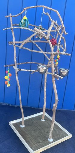 Parrot Perch Tree…. Custom made - An Artistic Hangout Spot For Mr Feathers … Lasts For Years !