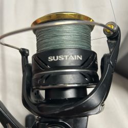 Spinning Reel 