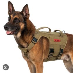Dog Harness
