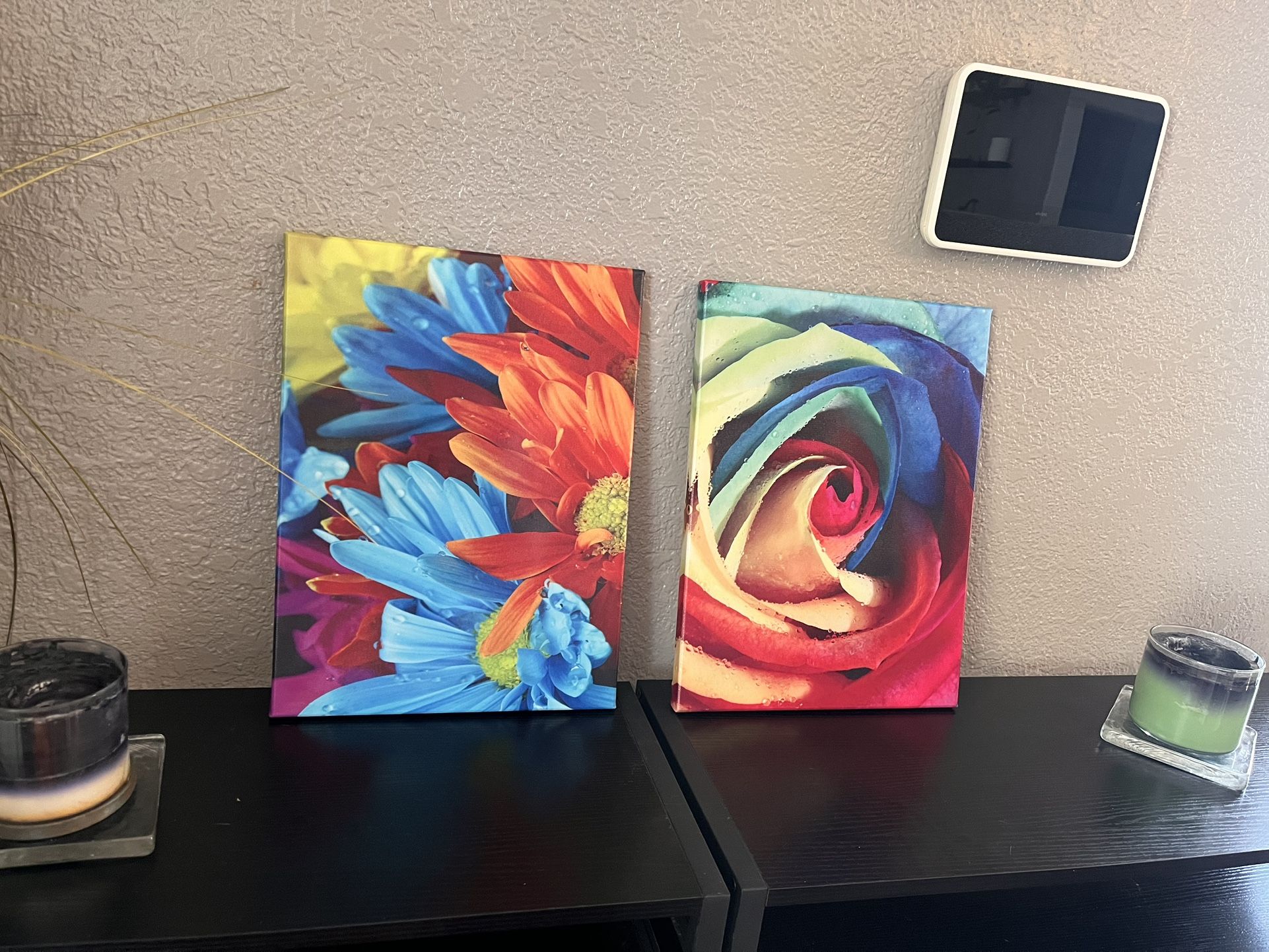 Wall Art (2 Pc)