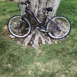 28” Schwinn Hybrid Bike (step Over Frame)