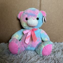 Rainbow Teddy Bear 