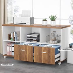  File Cabinet with 2 Drawers 