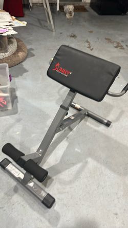 Lower back /Dip Machine