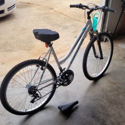 Mountain Bike (Medium)