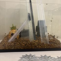 Aqueon Rimless 5 Gallon Tank