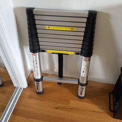 Yvan Telescopic Ladder 