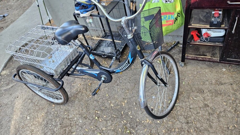 Tory 3 Wheel Bike