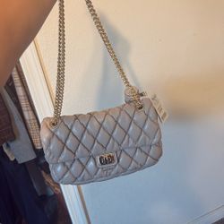 Aldo Purse New 