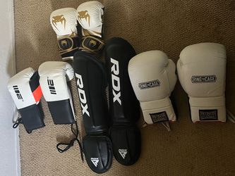 Boxing/MMA/Muay Thai Gloves and Gear