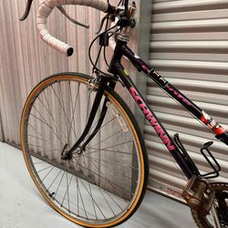 Vintage Schwinn Bike