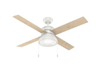 Cieling Fan (New)
