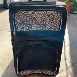 Luggage $20