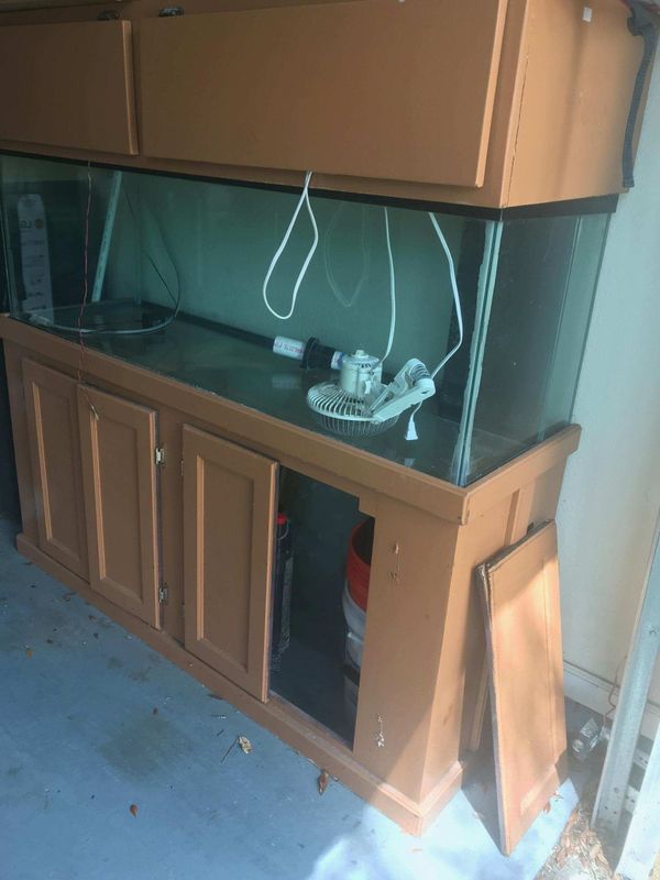 100 gallon Aquarium Fish tank for Sale in Tampa, FL OfferUp