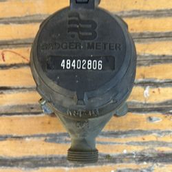 Badger Water Meter