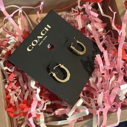 Coach Earrings