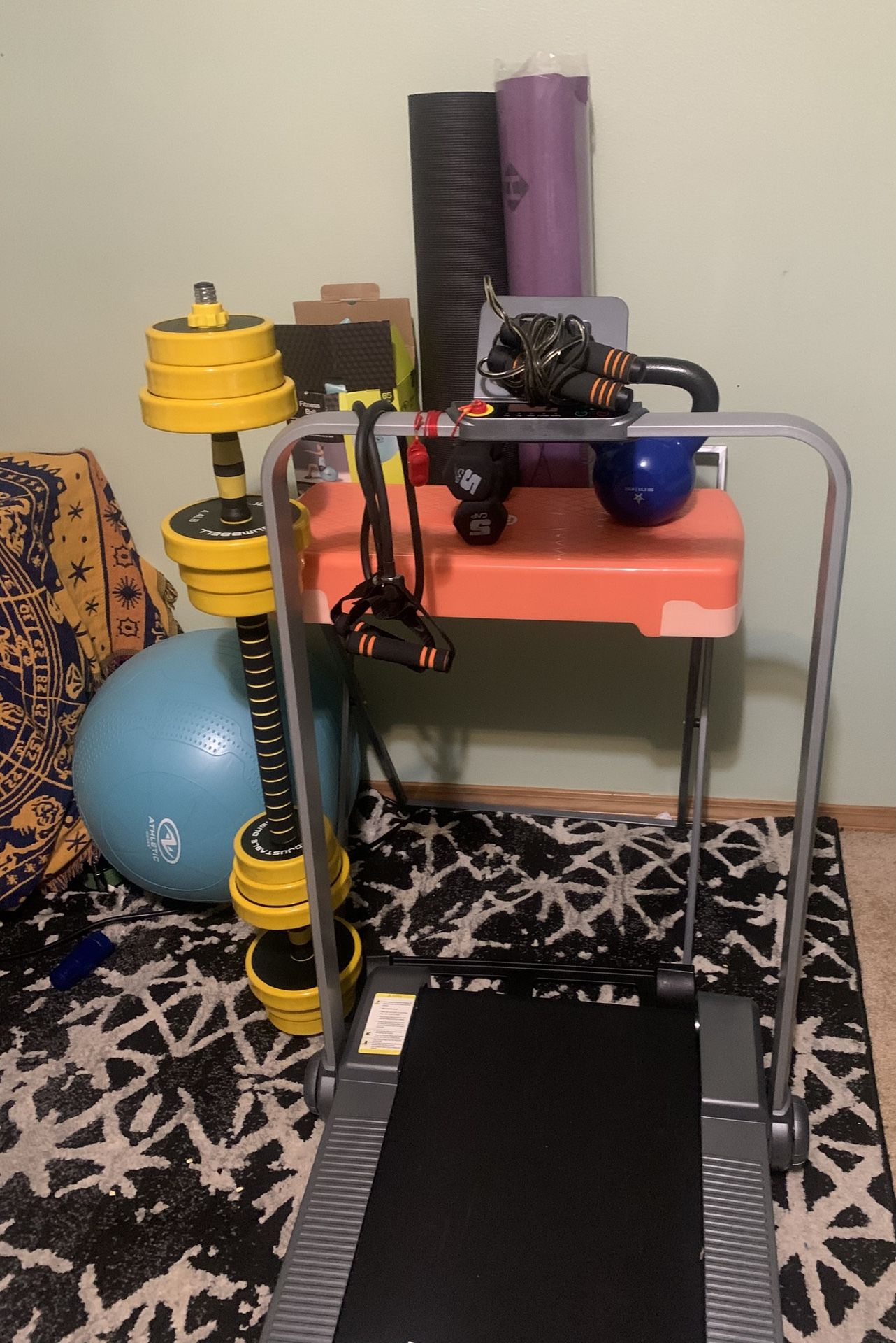 Miscellaneous Gym Equipment Haul