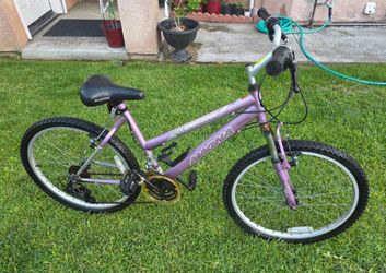 Mega Mountain bike 21 speed