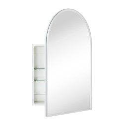 Tomace 20 in. W x 30 in. H Arched Recess and Surface Mount Frameless Medicine Cabinet with Mirror