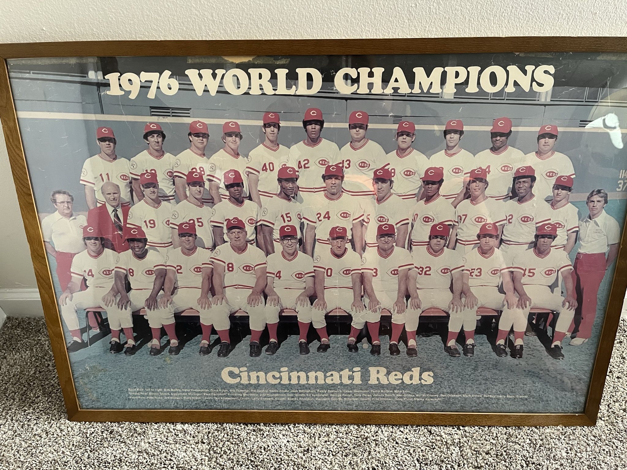 1976 (Reds)Big Red Machine 24x36 Photo/Poster Rose,,etc.-JSA Auth. X41756
