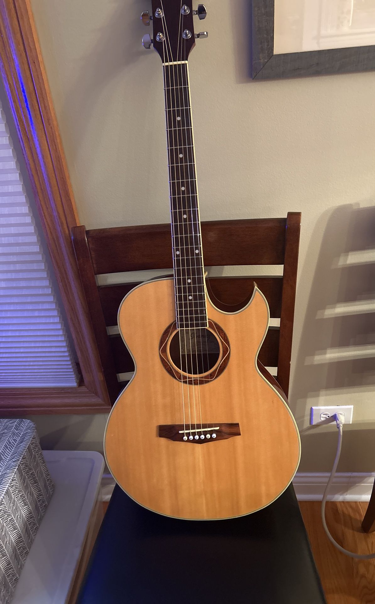 Ibanez PC 300 Acoustic /Electric new strings
