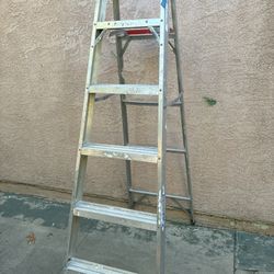6 Ft Ladder
