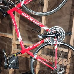 Custom Specialized Road Bike 