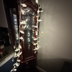 Martha living Christmas Lights