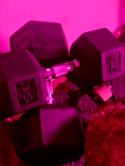 35lb hexagon dumbbell