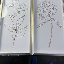 White And Gold Frames