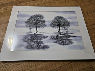 Unframed, White Mat, 18x24 Art Print