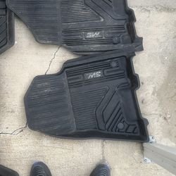 Ram floor mats