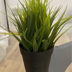 Small Ikea Fake Green Plant