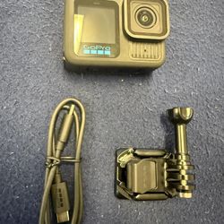 Go Pro 13 