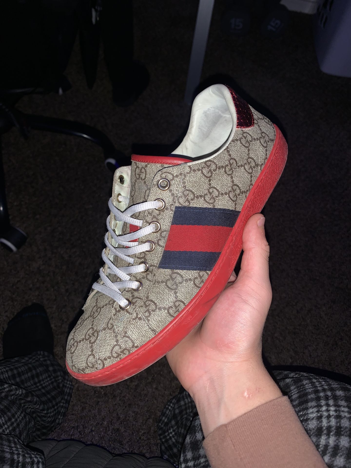 Gucci ace