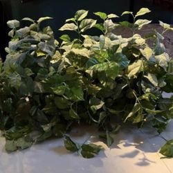 JUST REDUCED! Large Artificial Greenery Vine Bundle